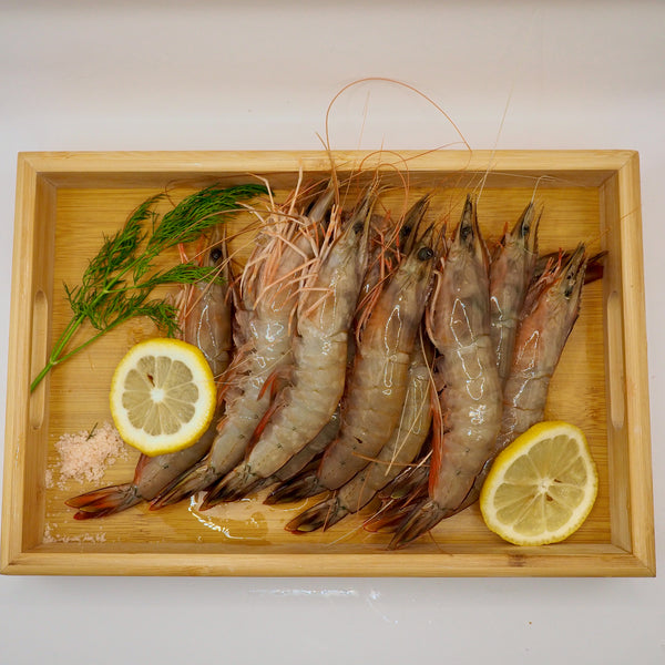 Red legged prawns raw on a plate