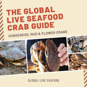 The Global Live Seafood Crab Guide: Dungeness, Mud & Flower Crabs