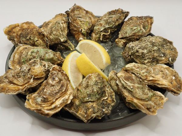 Live Fine De Claire Oysters - Gaey