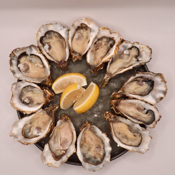 Live Fine De Claire Oysters - Gaey