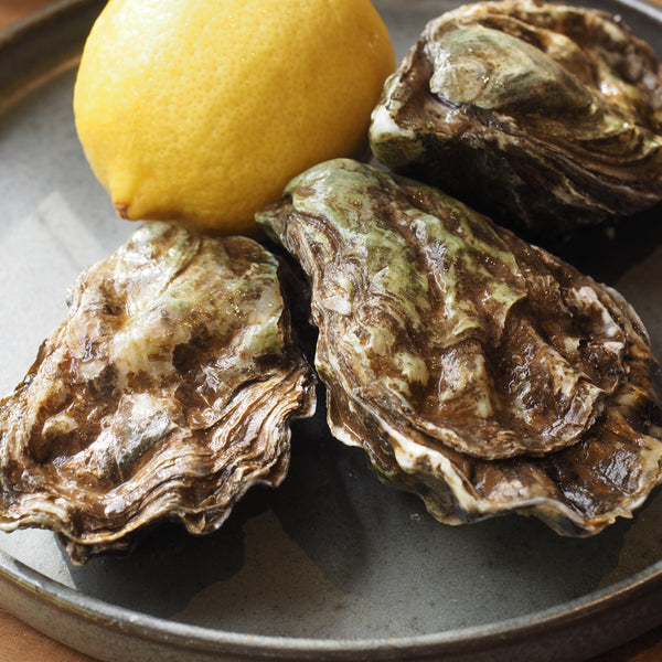 Live Scottish Pacific Oysters