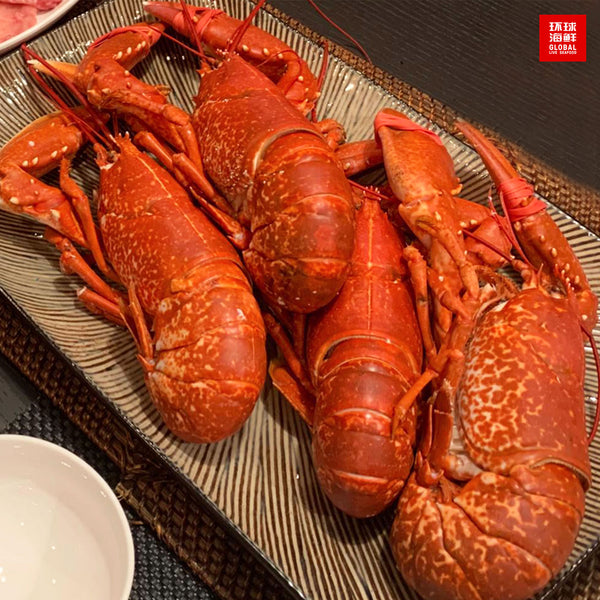 european blue lobster cooked