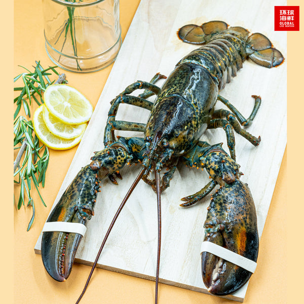 live boston lobster on chopping board