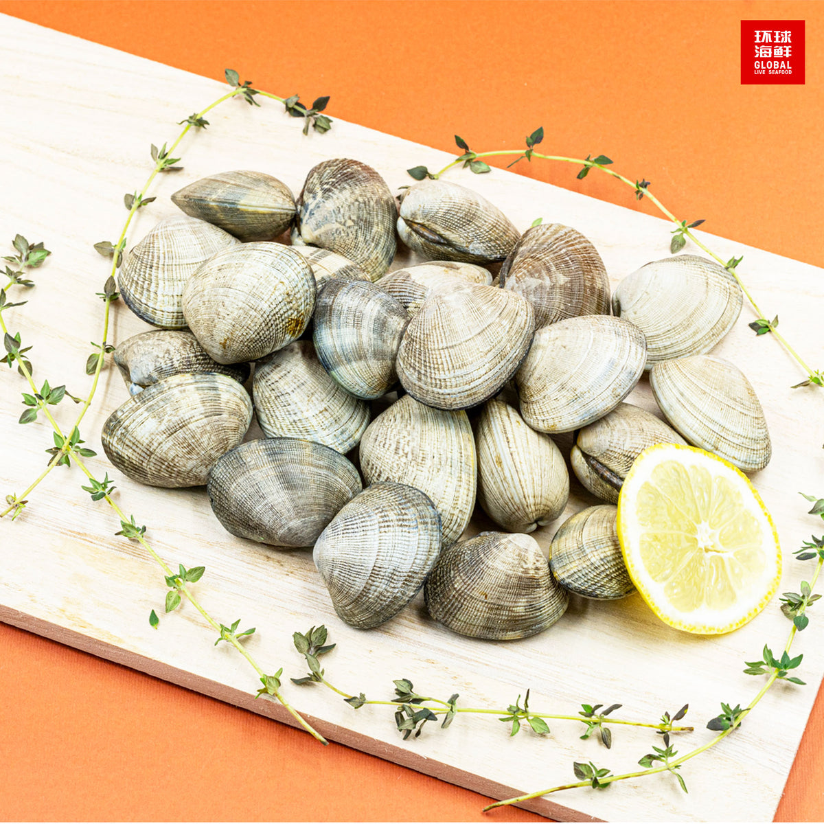 Buy Live Manila Clams Online Seafood Delivery Global Live Seafood