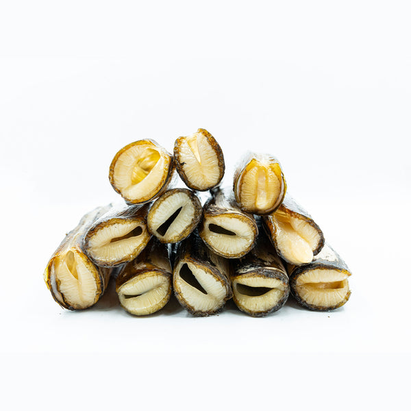 razor clams front shot showing meat